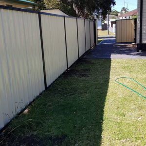 Fencing Services